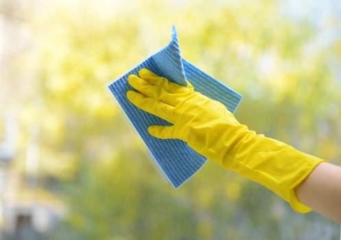 Professional treatment of a pet stain in a Chiswick flat living room