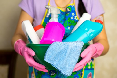 Professional carpet cleaning in a Chiswick home