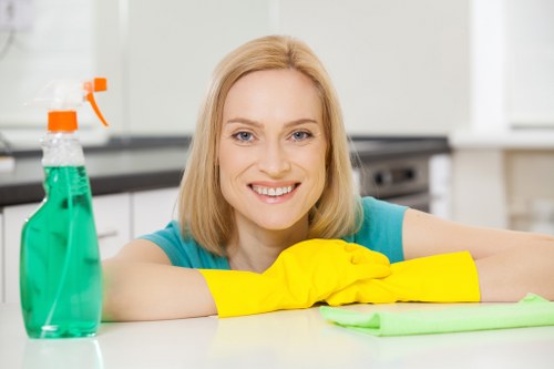 Carpet cleaning quote discussion in a Chiswick home