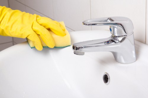 Professional carpet cleaning service for homes in Chiswick