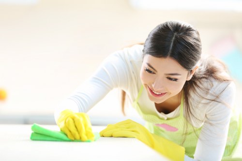 Professional one off cleaning service in a Chiswick home