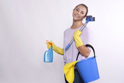Kitchen and bathroom upkeep during a scheduled cleaning visit in Chiswick