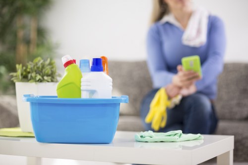 Kitchen appliance cleaning for a flat in Chiswick, West London