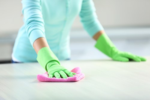 Freshly cleaned carpet fibers after stain removal