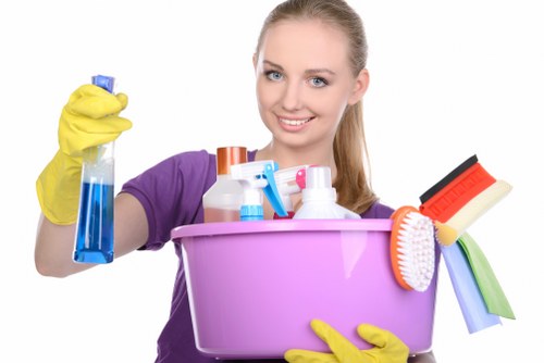 Deep cleaning equipment used for pet odour removal on upholstery