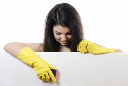 Regular home cleaning for a flat near Chiswick High Road