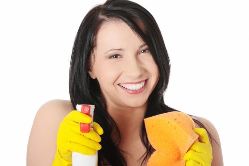 Local facade cleaning service for homes, offices, and managed buildings in Chiswick