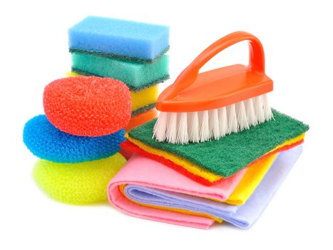Insurance and safety checks for a carpet cleaning service